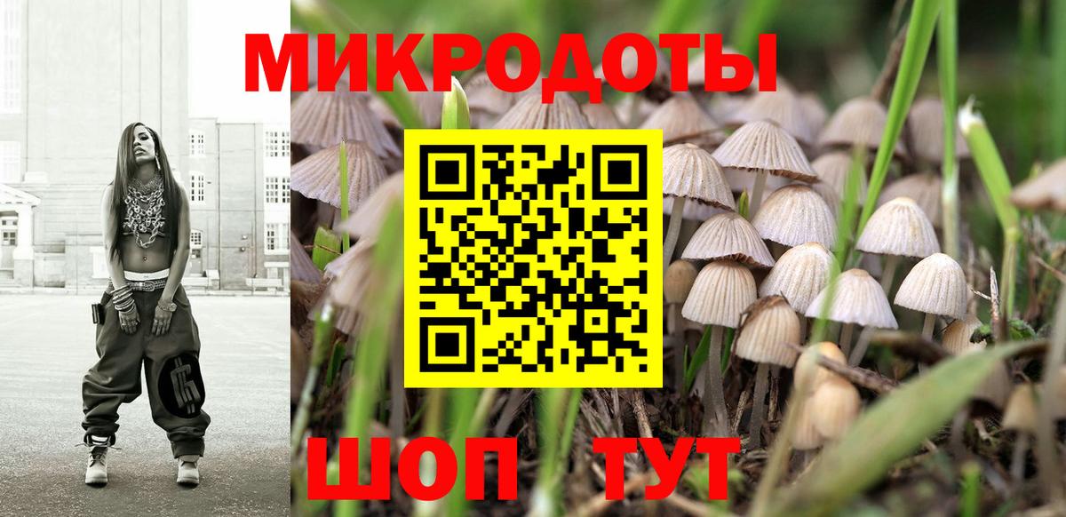 Псилоцибиновые грибы Psilocybe  закладка  Гудермес  Вход с VPN 